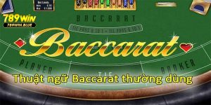 Tổng hợp những thuật ngữ phổ biến trong game Baccarat người chơi cần nắm