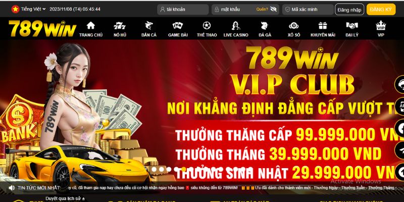 Đánh giá những thông tin tổng quan về các chương trình ưu đãi 789win