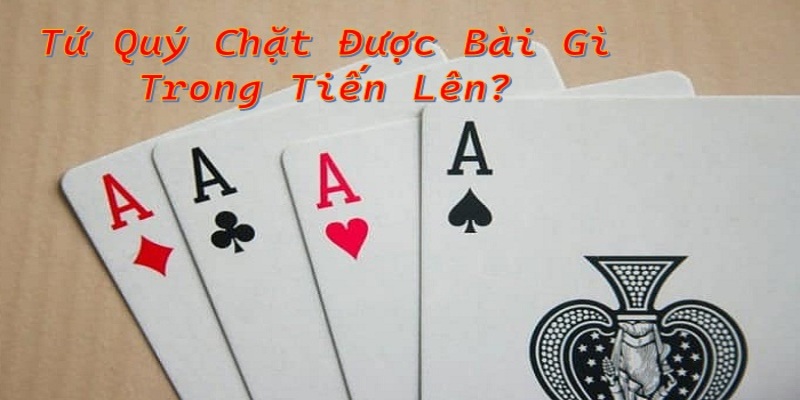 tứ quý chặt được gì