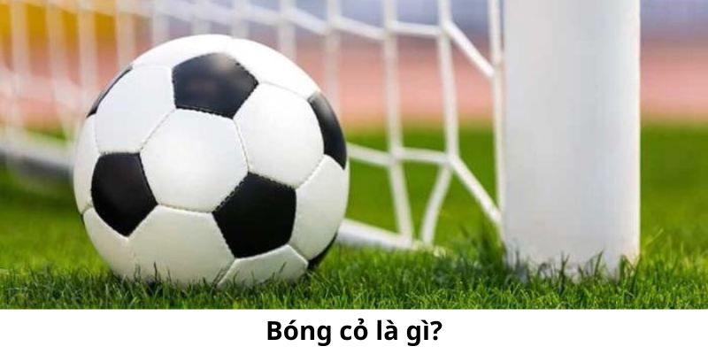 Bóng cỏ là những giải đấu có quy mô nhỏ bên cạnh các giải đấu lớn hiện nay